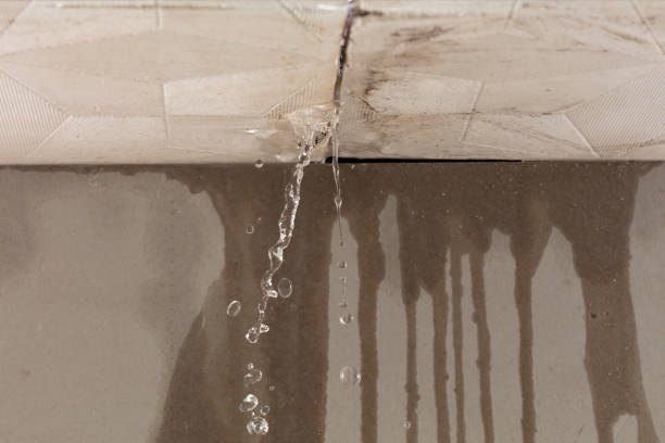 Professional Structural Drying technician working in Polkville, NC